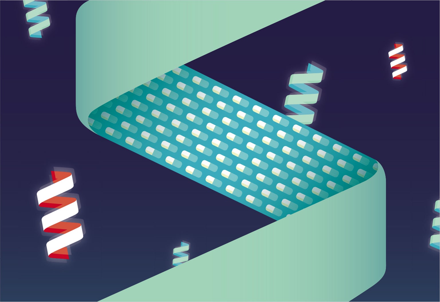Ванесса Бранчі/scientificamerican