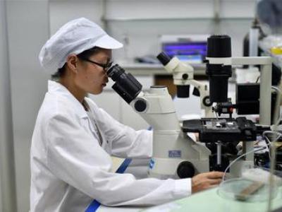 Китайські «бойові комарі» допоможуть людству боротися з епідеміями. Фото: Russian.News.Cn