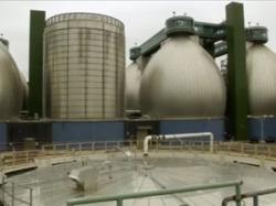 Учені винайшли бактерію, яка перетворює сміття на біогаз